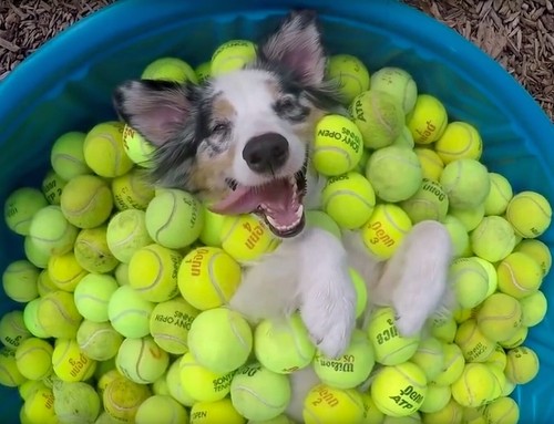 100 palle palline tennis - palline,